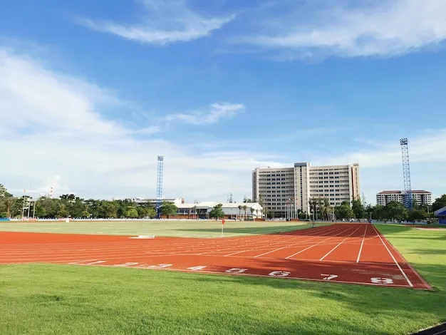 体育场背景
